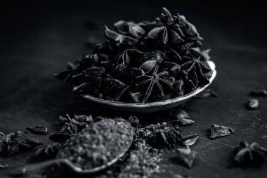 Anason ve kaşık kuru otlar yakın çekim