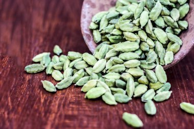 Bir kil kase yeşil kakule görünümü kapatın