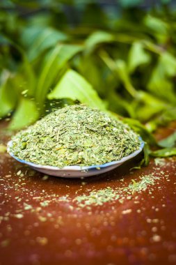 Toz ve yaprakları bir cam levha içinde Hint leylak 