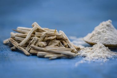 Ayurveda herb satavari, toz ve kökleri ile kuşkonmaz racemosus görünümünü kapat