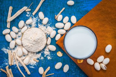 Ayurveda otlar cowhage ve süt ile kuşkonmaz racemosus görünümünü kapat 