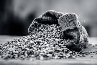 Çavuş çanta içinde yeşil gram görünümünü kapat