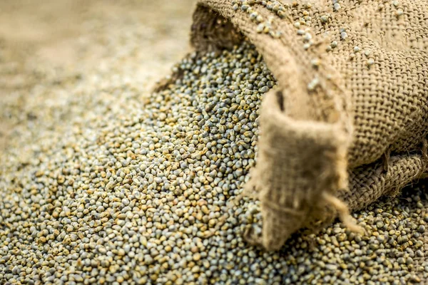 Rauwe Biologische Pearl Millet Een Zak Gunny — Stockfoto