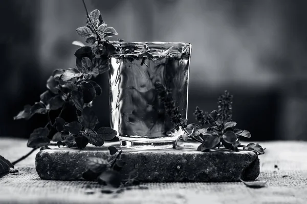 Close Water Holy Basil Transparent Glass — Stock Photo, Image