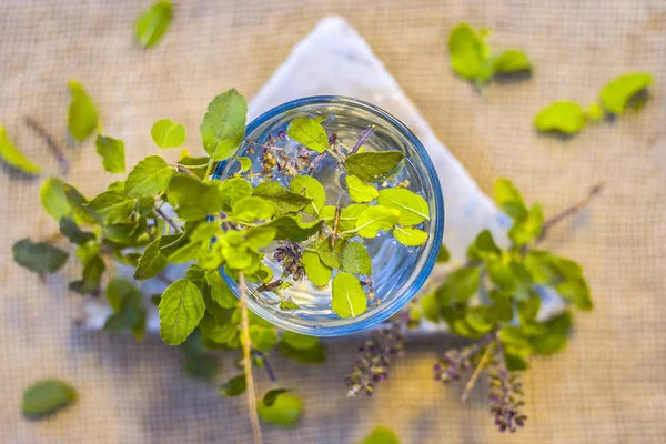 Water Met Heilige Basilicum Een Transparant Glas — Stockfoto