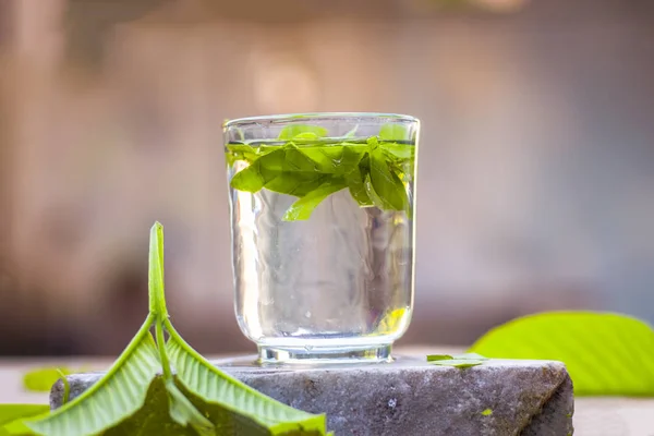 Vista Cerca Las Hojas Guayaba Vaso Agua — Foto de Stock