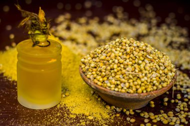 Ayıklanan petrol ile baharat kişniş tohumu yakın çekim