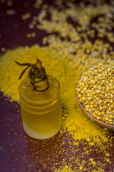 Close up of spice coriander seeds with its extracted oil