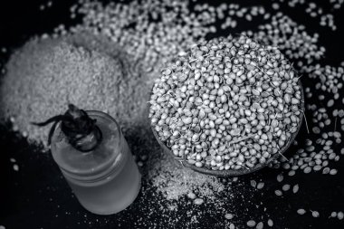 Kişniş yağı bir kil kase kuru kişniş ile