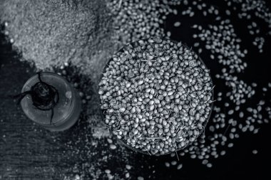 Kişniş yağı bir kil kase kuru kişniş ile