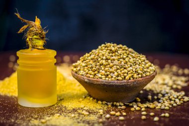 Kişniş yağı bir kil kase kuru kişniş ile