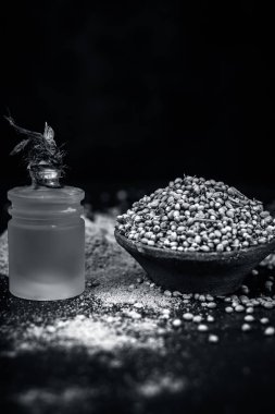 Kişniş yağı bir kil kase kuru kişniş ile