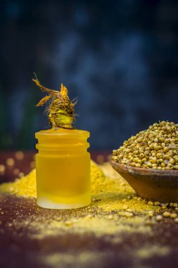 Kişniş yağı bir kil kase kuru kişniş ile