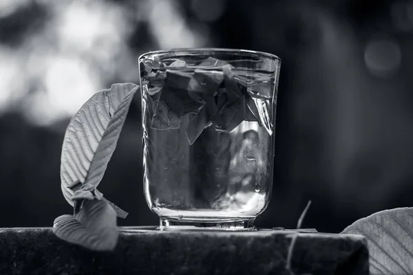 Close View Guava Leaves Glass Water — Stock Photo, Image