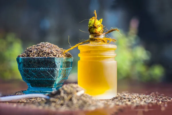 Siyah kimyon tohumu, Şah jerra, nigella sativa ve ahşap yüzeyde ayıklanan petrol