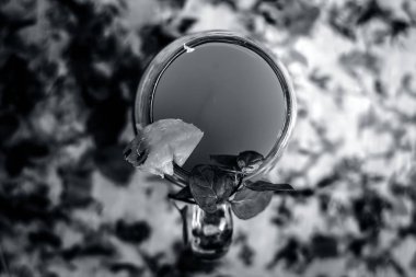 Diyet ve kilo kaybı için havuç suyu nane ve havuç taşlarla süsleme için görünümünü kapat