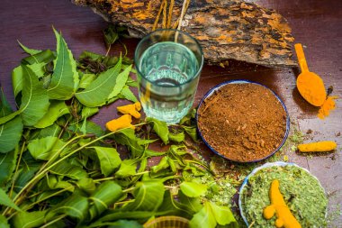 Bir cam plaka yaprakları ve ham yeterince güçlü zerdeçal ile Hint leylak toz