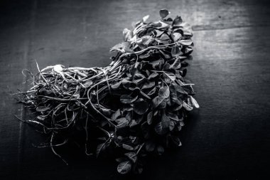 Ahşap arka plan üzerinde taze Çemen, yakın çekim