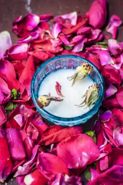 Süt krem pembe gül yaprakları üzerinde yüz için yakın çekim