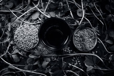 Kadar yakın çemen tohumu ve ayıklanan su ile