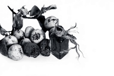 Beyaz zemin üzerine çıkarılan yağı ile incir ağacı meyve yakın çekim