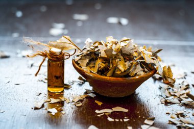 Banyan ficus petrol ve ahşap masa üzerinde toz yaprakları ile