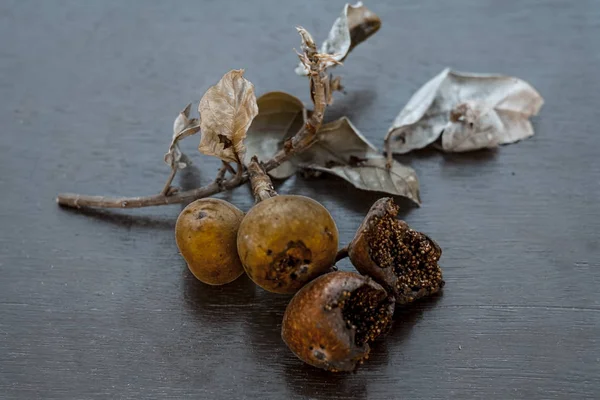 Dikdörtgen meyve ve yaprakları ahşap arka plan üzerinde Kapat