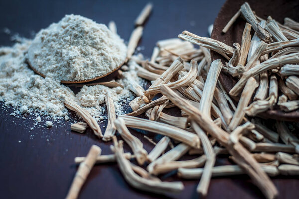 Ayurvedic herb satavari with powder and roots 