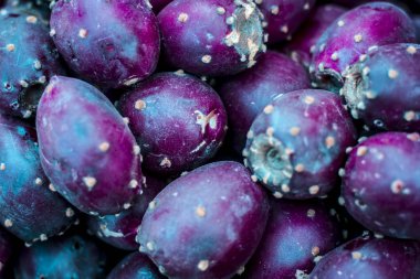 Lila momordica dioica meyvelerini yakın çekim