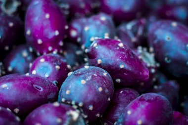 Lila momordica dioica meyvelerini yakın çekim