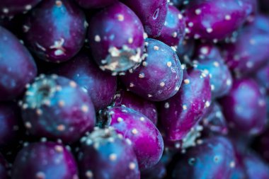 Lila momordica dioica meyvelerini yakın çekim