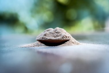 Ayurveda ot kuanch, cowhage, Mucuna pruriens toz toz ve erken boşalma, ereksiyon sorunları ve diğer sperm için ham kuanch ile kahverengi bir plaka ile ilgili hastalıklar.