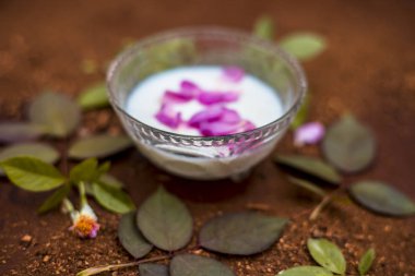 Peep Ahşap toz süt ve gül suyu ile yüz paketi, yakın çekim 