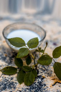 Ayurveda yüz paketi yulaf tozu ve süt 