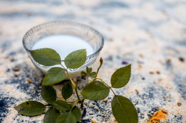 Ayurveda yüz paketi yulaf tozu ve süt 