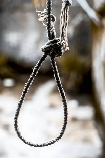 Close Hangman Knot Hanging Line — Stock Photo, Image