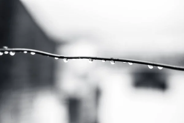 季风季节或降雨期间清洗线上水滴的关闭或宏观拍摄 — 图库照片