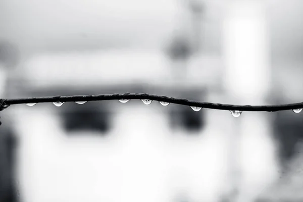 季风季节或降雨期间清洗线上水滴的关闭或宏观拍摄 — 图库照片