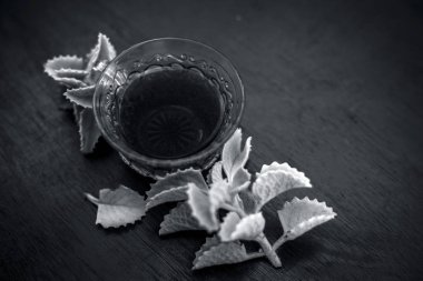 Yeşil renkli yararlı ve ayurvedik ve carom yaprakları veya piskopos's weed veya ajwain taze yaprakları ile şeffaf bir fincan bitkisel çay.