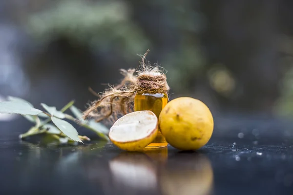 Трав Яна Сутність Лимона Листям Троянди — стокове фото