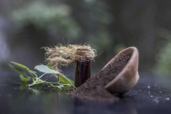 Tea powder with rose leaves and extracted essence on table