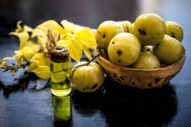 Şeffaf şişede ayıklanan özü ile Hint bektaşi üzümü