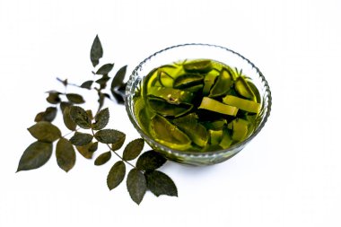 Ham ayıklanan organik aloevera jel beyaz bazı taze gül yaprağı ile izole bir şeffaf cam fincan kapatmak.