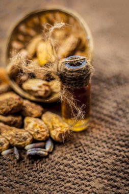 Kurutulmuş hurma veya sukhi khajoor veya Phoenix dactylifera ham kurutulmuş tarihleri ve tozu ile kahverengi yüzeyüzerinde şeffaf bir cam şişe içinde kharek Uçucu yağ.