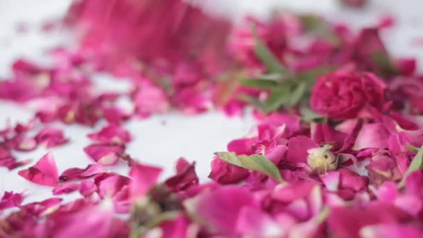 Video Mascarilla Leche Bien Mezclada Con Aceite Esencial Rosa Aislado — Vídeo de stock