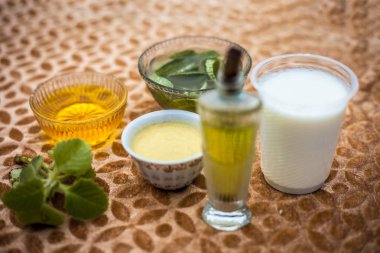 Kahverengi renkli yüzeyde kafa derisi sağlıklı tutmak için tedavi yakın aloevera jel, yoğurt, bal ve zeytinyağı.