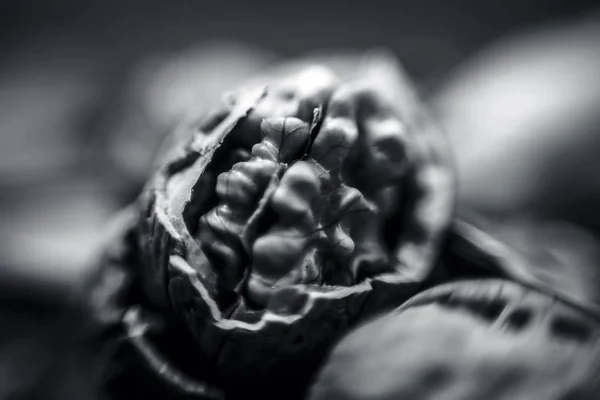 Macro shot of raw organic walnuts in sell on wooden surface.