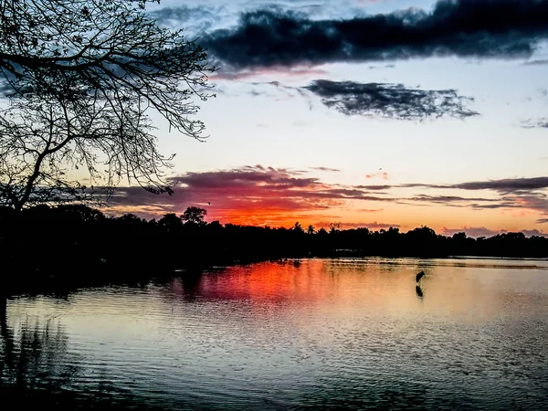 Slunce Stojí Stromem Břehu Jezera Době Soumraku Pestrým Dramatickým Mrakem — Stock fotografie