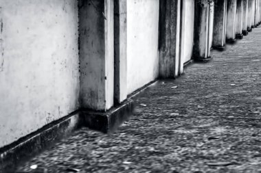 Üzerinde sonbahar yaprakları olan duvar ve yolların ana hatları. Minimalist çekim.