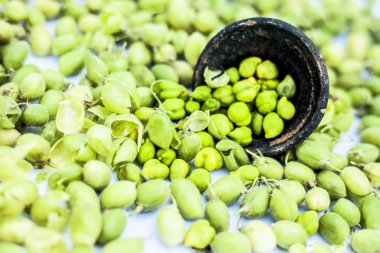 Ginjua veya gingua veya nohut bezelye veya civciv bakla veya mısır fasulye bir kil kase.;